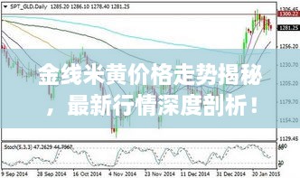 金線米黃價格走勢揭秘，最新行情深度剖析！