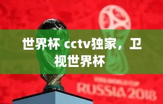 世界杯 cctv獨家，衛(wèi)視世界杯 