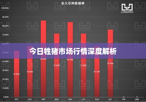 今日牲豬市場行情深度解析