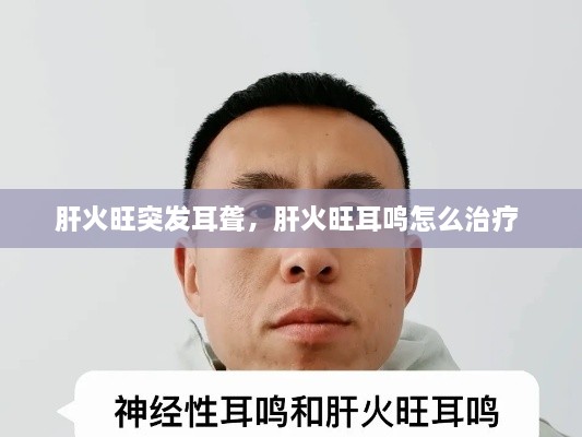 肝火旺突發(fā)耳聾，肝火旺耳鳴怎么治療 