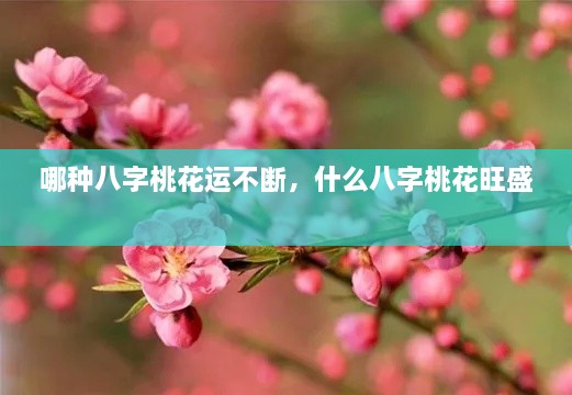 哪種八字桃花運(yùn)不斷，什么八字桃花旺盛 