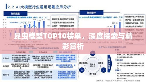 昆蟲模型TOP10榜單，深度探索與精彩賞析