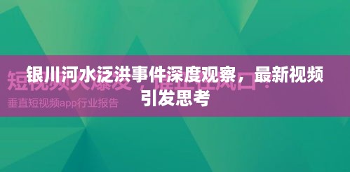 銀川河水泛洪事件深度觀察，最新視頻引發(fā)思考