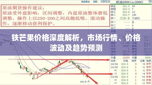 鐵芒果價格深度解析，市場行情、價格波動及趨勢預(yù)測