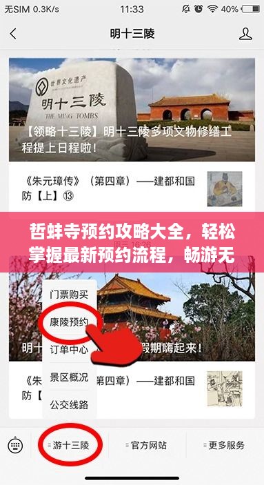 哲蚌寺預(yù)約攻略大全，輕松掌握最新預(yù)約流程，暢游無阻！