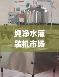 純凈水灌裝機(jī)市場(chǎng)走勢(shì)解析，最新行情深度探討