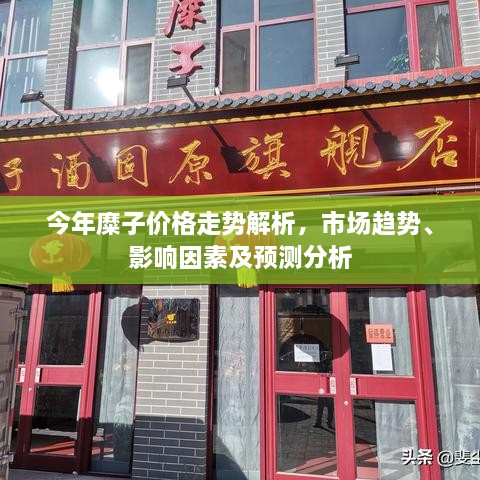 今年糜子價格走勢解析，市場趨勢、影響因素及預(yù)測分析