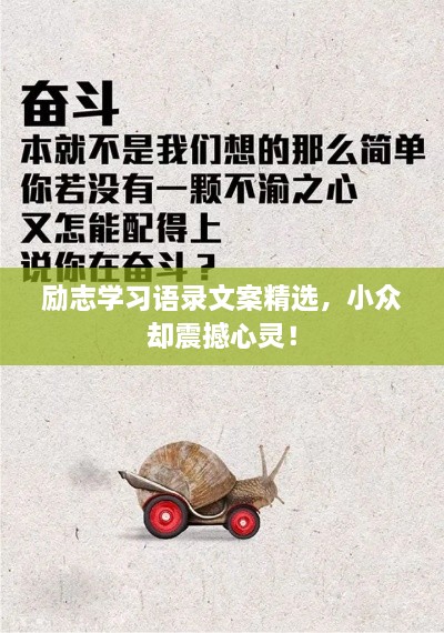 勵志學習語錄文案精選，小眾卻震撼心靈！