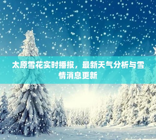 太原雪花實(shí)時(shí)播報(bào)，最新天氣分析與雪情消息更新