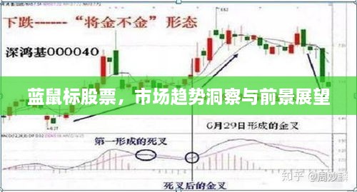 藍鼠標股票，市場趨勢洞察與前景展望