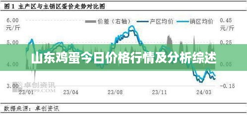 山東雞蛋今日價格行情及分析綜述