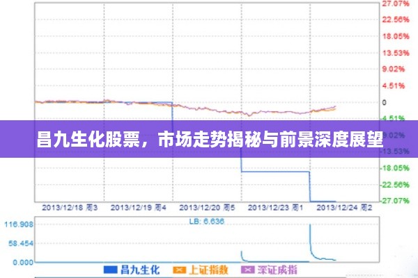 昌九生化股票，市場走勢揭秘與前景深度展望