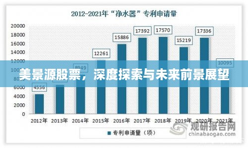 美景源股票，深度探索與未來(lái)前景展望