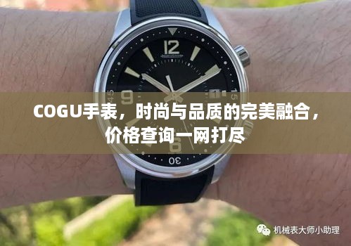 COGU手表，時(shí)尚與品質(zhì)的完美融合，價(jià)格查詢一網(wǎng)打盡