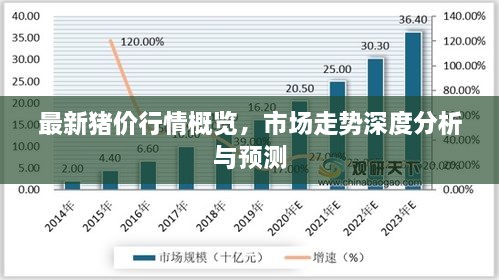 最新豬價行情概覽，市場走勢深度分析與預測