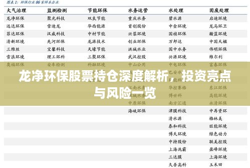 龍凈環(huán)保股票持倉深度解析，投資亮點與風(fēng)險一覽