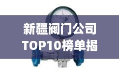 新疆閥門公司TOP10榜單揭曉，行業(yè)領(lǐng)軍者一覽無余