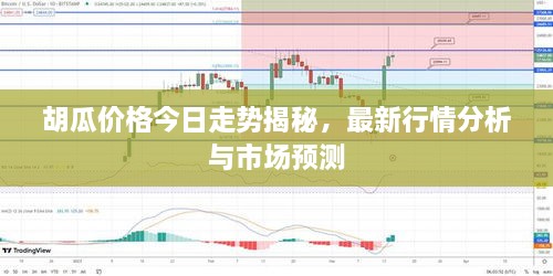 胡瓜價(jià)格今日走勢(shì)揭秘，最新行情分析與市場(chǎng)預(yù)測(cè)