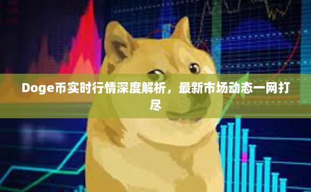 Doge幣實時行情深度解析，最新市場動態(tài)一網(wǎng)打盡