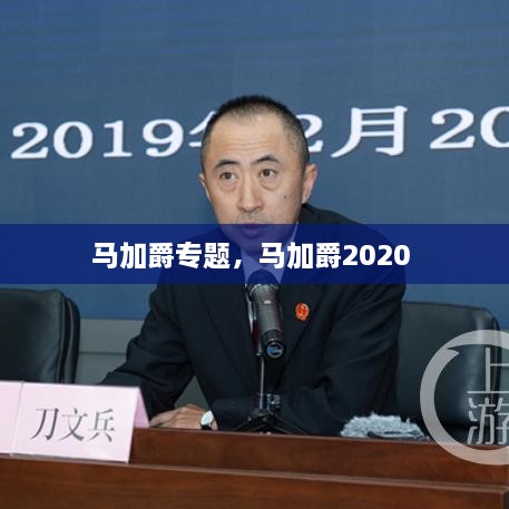 馬加爵專題，馬加爵2020 