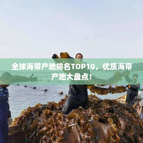 全球海帶產(chǎn)地排名TOP10，優(yōu)質(zhì)海帶產(chǎn)地大盤點(diǎn)！