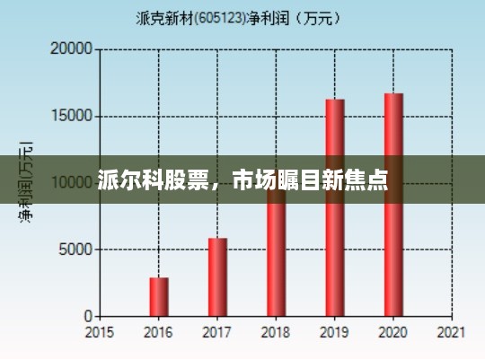 派爾科股票，市場(chǎng)矚目新焦點(diǎn)