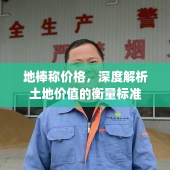 地棒稱價格，深度解析土地價值的衡量標準