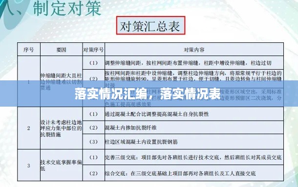 落實情況匯編，落實情況表 