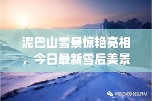 泥巴山雪景驚艷亮相，今日最新雪后美景報道！