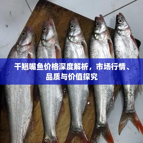 干翹嘴魚價格深度解析，市場行情、品質(zhì)與價值探究