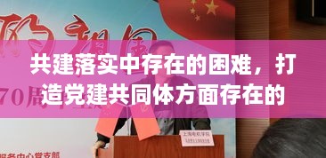 共建落實中存在的困難，打造黨建共同體方面存在的問題 