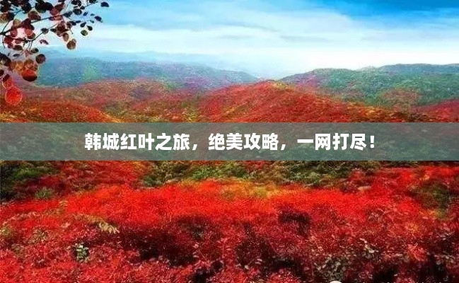 韓城紅葉之旅，絕美攻略，一網(wǎng)打盡！