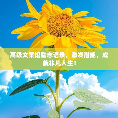 高級文案館勵志語錄，激發(fā)潛能，成就非凡人生！