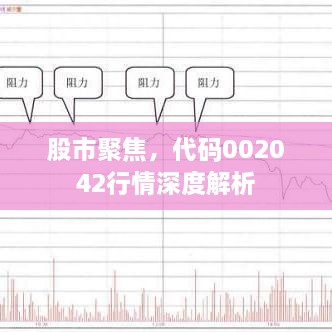 股市聚焦，代碼002042行情深度解析