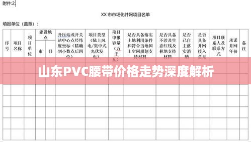 山東PVC腰帶價(jià)格走勢(shì)深度解析