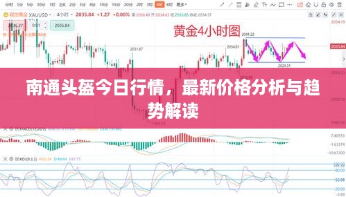 南通頭盔今日行情，最新價(jià)格分析與趨勢解讀