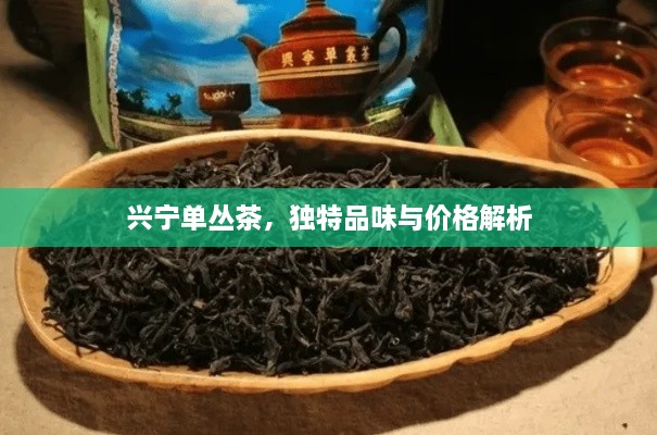 興寧單叢茶，獨(dú)特品味與價(jià)格解析