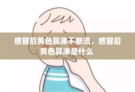 感冒后黃色鼻涕不斷流，感冒后黃色鼻涕是什么 