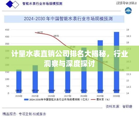 計量水表直銷公司排名大揭秘，行業(yè)洞察與深度探討