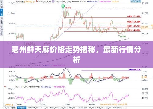 亳州鮮天麻價格走勢揭秘，最新行情分析