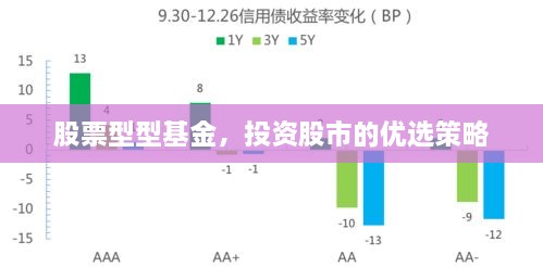 股票型型基金，投資股市的優(yōu)選策略