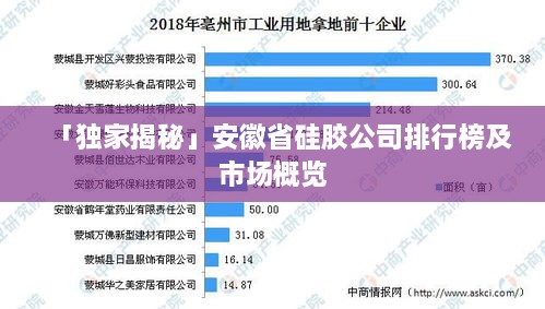 「獨家揭秘」安徽省硅膠公司排行榜及市場概覽