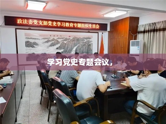 學(xué)習(xí)黨史專(zhuān)題會(huì)議， 
