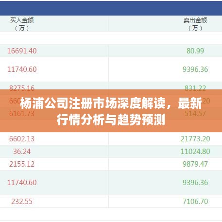 楊浦公司注冊市場深度解讀，最新行情分析與趨勢預測