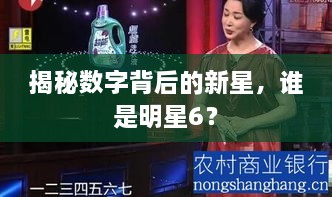 揭秘數(shù)字背后的新星，誰是明星6？