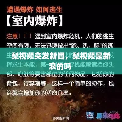 梨視頻突發(fā)新聞，梨視頻是新浪的嗎 