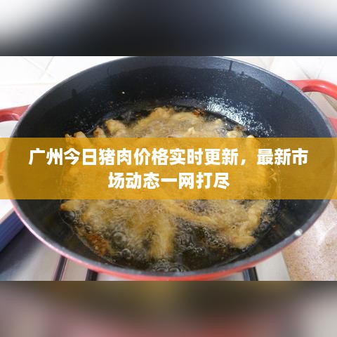 廣州今日豬肉價(jià)格實(shí)時(shí)更新，最新市場(chǎng)動(dòng)態(tài)一網(wǎng)打盡