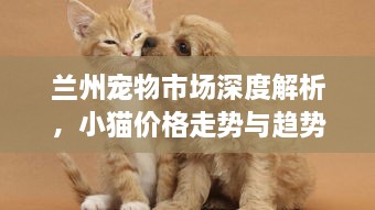 蘭州寵物市場深度解析，小貓價格走勢與趨勢探尋