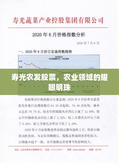 壽光農(nóng)發(fā)股票，農(nóng)業(yè)領(lǐng)域的耀眼明珠