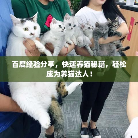 百度經(jīng)驗分享，快速養(yǎng)貓秘籍，輕松成為養(yǎng)貓達(dá)人！
